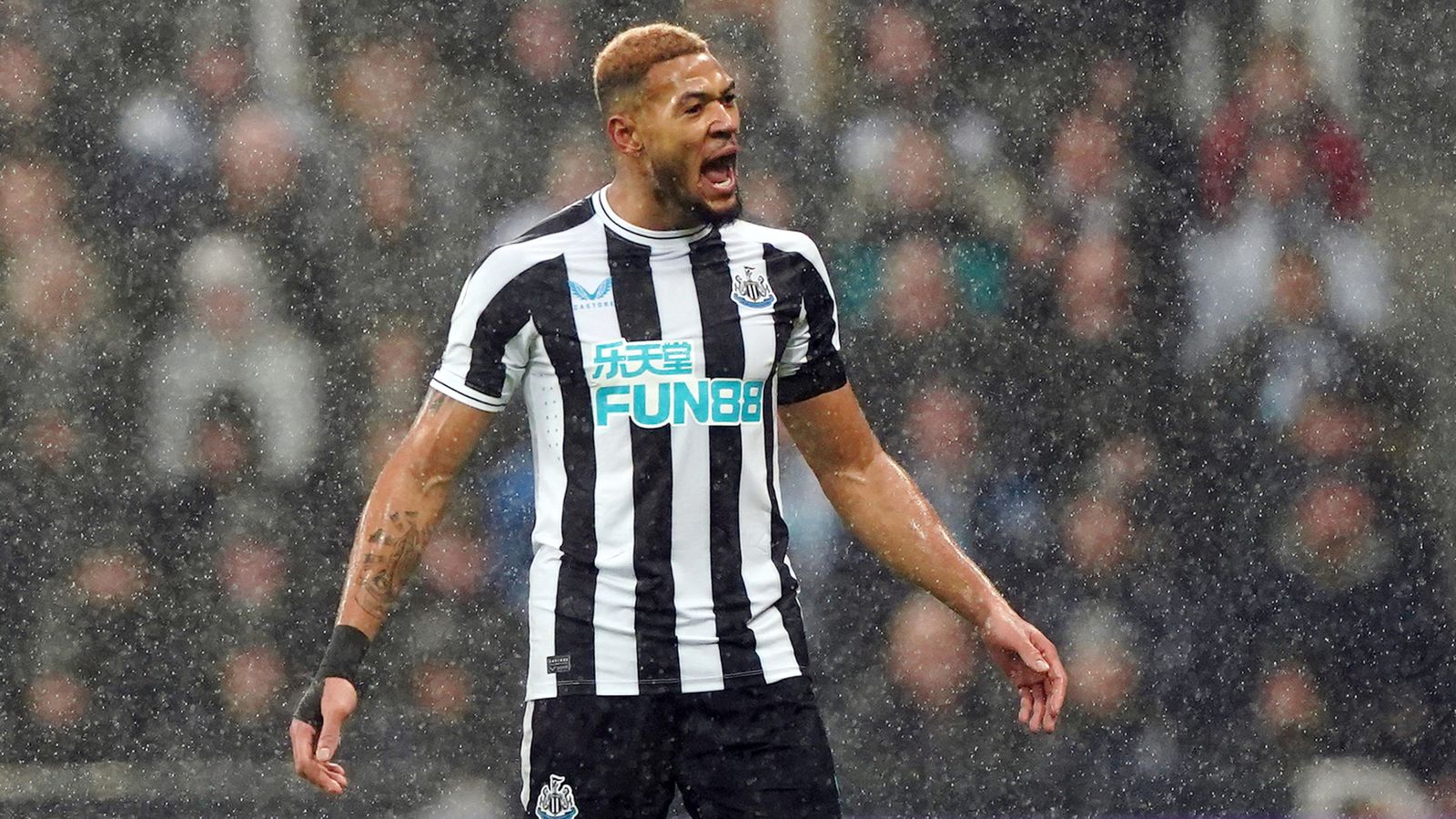 Joelinton: Newcastle United midfielder charged with drink driving and faces  court hearing this month | UK News | Sky News