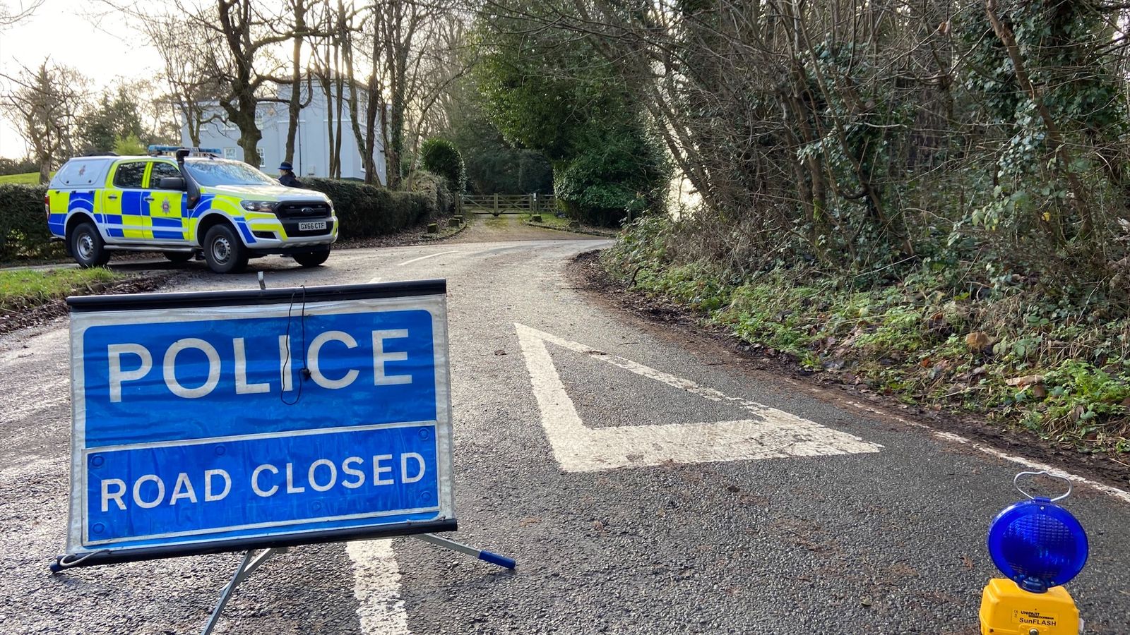 Surrey dog attack: Family of dog walker mauled to death in Caterham say ...