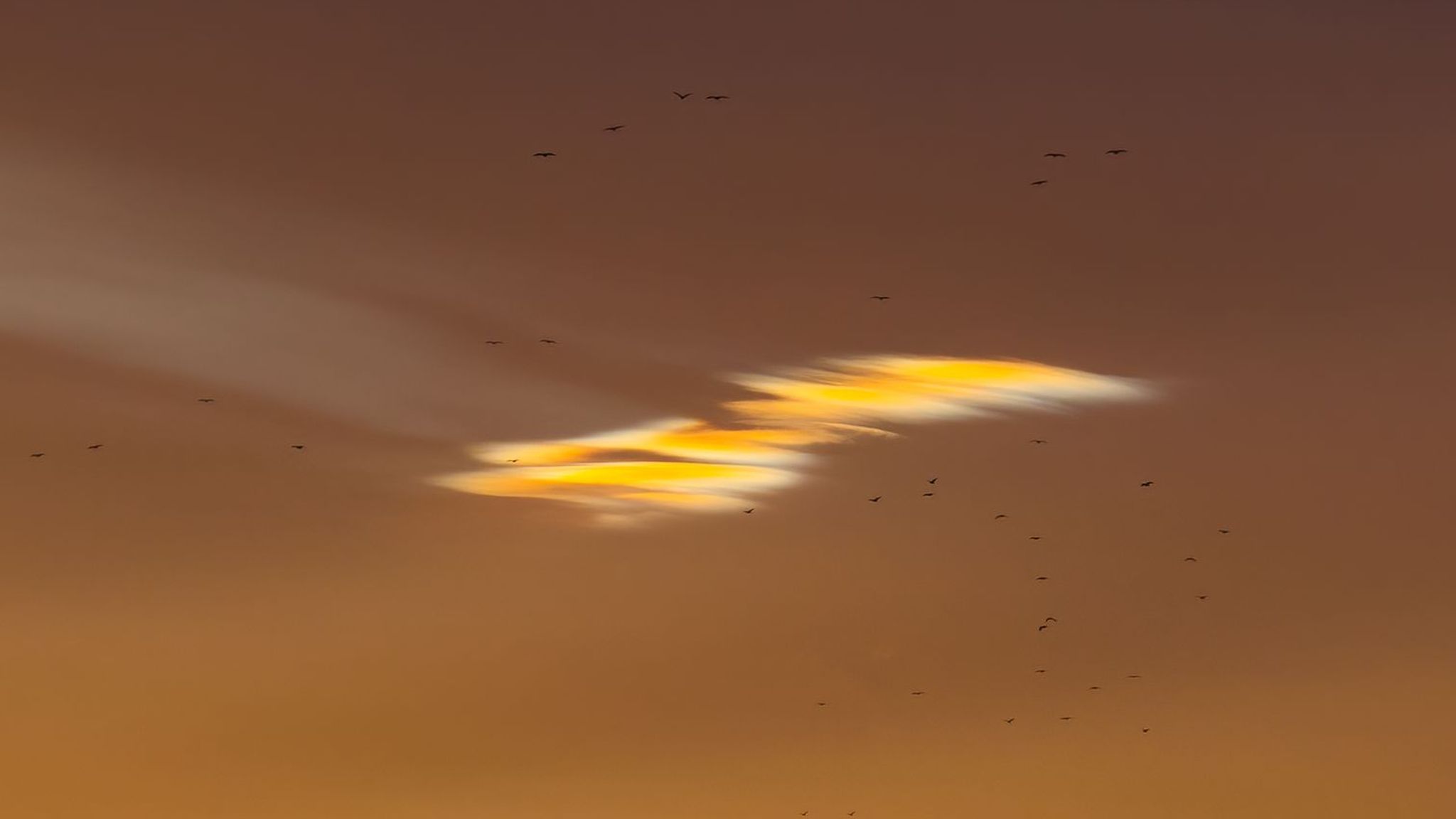 Sky Gazers Spot Rare And Vivid Mother Of Pearl Cloud In Scotland Uk