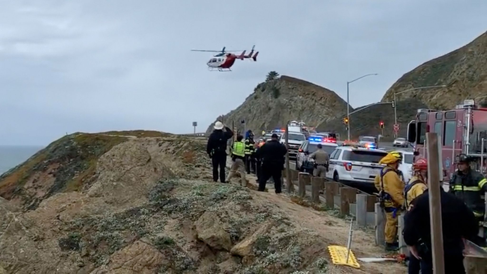 Two adults and two children survive after Tesla plunges 75m off cliff