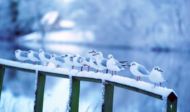 UK weather: Met Office says snow could be on the way as cold air over Greenland could bring wintry conditions - Vimarsana News