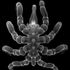 Deniz örümcekleri kayıp anüslerini ve cinsel organlarını yeniden büyütebilir - bilim insanlarını şaşkına çeviriyor | Bilim ve Teknoloji Haberleri