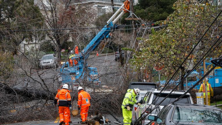 PG&E utilities workers clear a fallen tree which took down some power lines next to Bella Vista Elementary School in the Bella Vista neighborhood in Oakland, Calif., on Wednesday, January 4, 2023. (Salgu Wissmath/San Francisco Chronicle via AP)