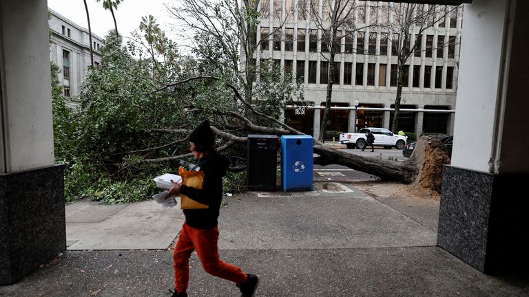 Pedestrians walk around a tree that fell during a storm in downtown Sacramento, California, U.S. January 4, 2023. REUTERS/Fred Greaves
