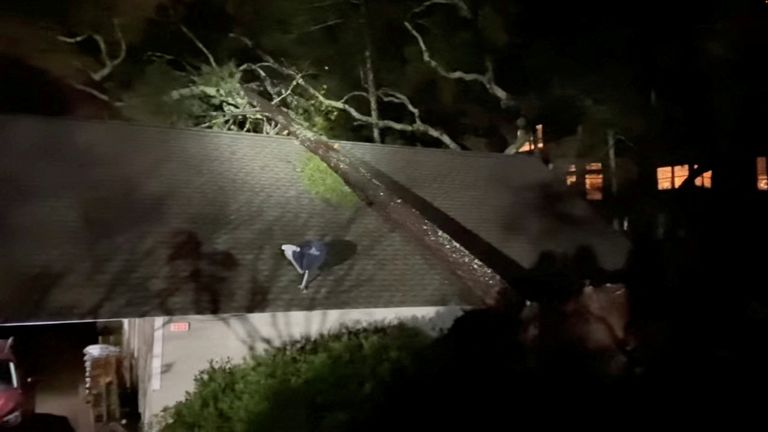 A fallen tree is pictured in the aftermath of the storm in Santa Rosa, California