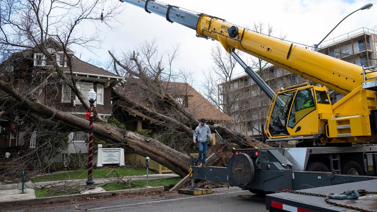 Trees fell on houses and blocked roads. Pic: AP