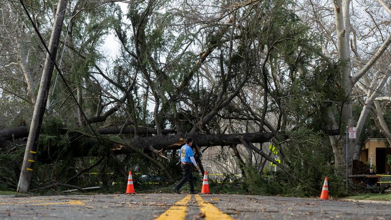 Trees blocked the road, further hampering travel.Photo: Associated Press