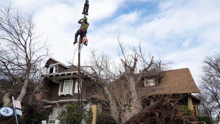     Strong winds brought down by overnight storm downed trees and power lines