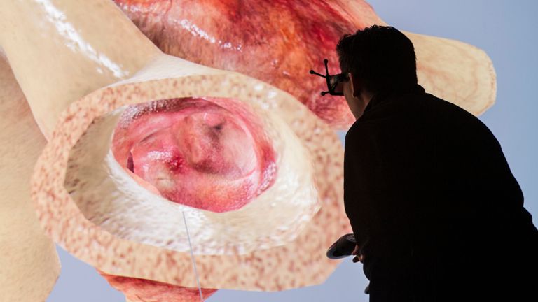 CES attendees can get up close to some of the body&#39;s most vital organs. Pic: Dassault Systemes
