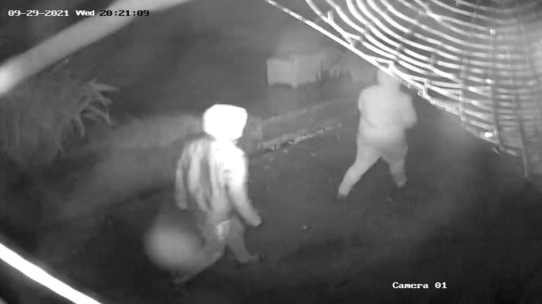 A pair of intruders were captured on the Cavendishes&#39; CCTV camera. Pic: PA