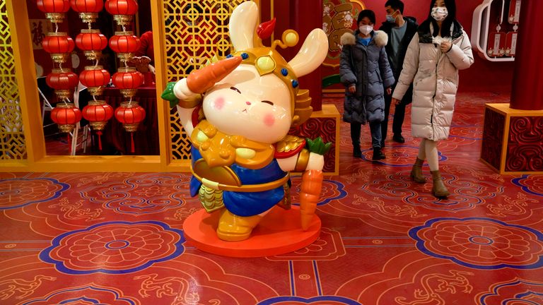 chinese new year 2023 rabbit