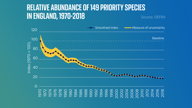 Priority species declined 17% between 2013-2018, topping off a period of ‘chronic decline’ since 1970 