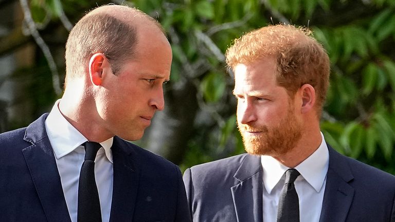 Prince William and Prince Harry. Pic: AP
