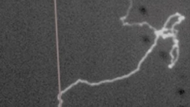 Snapshot recorded by a high-speed camera at Kronberg, showing lightning being &#39;deflected&#39; by a laser. Pic: Nature Photonics