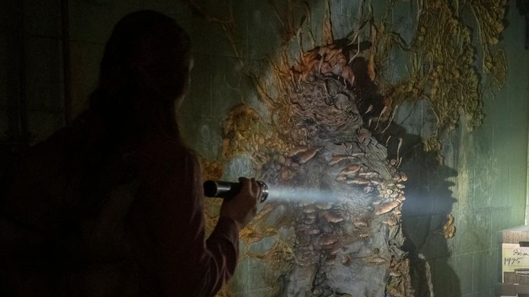 Zombie apocalypse: Fungus creating havoc in The Last of Us exists in real