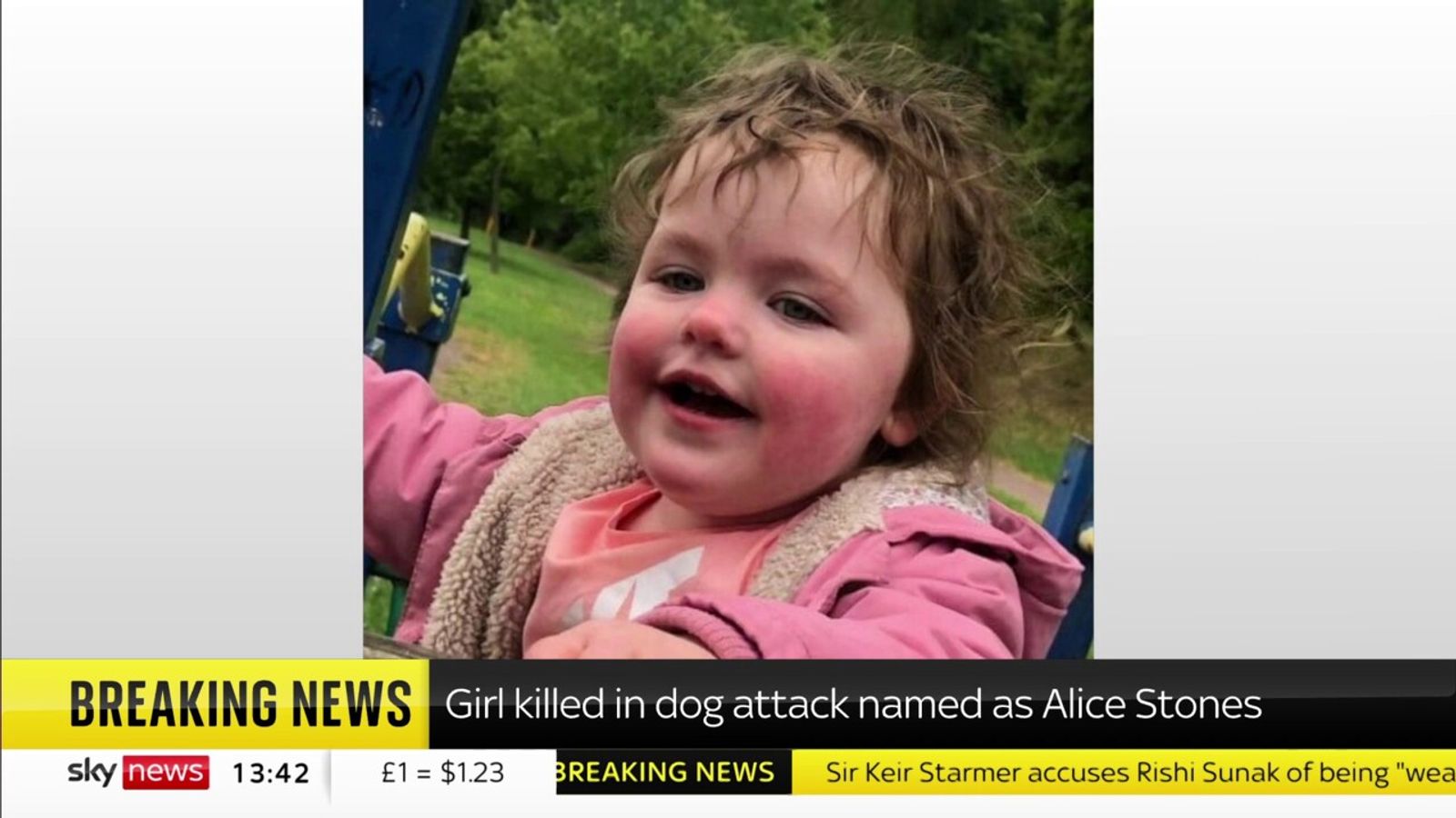 Girl killed in dog attack named as Alice Stones | News UK Video News ...