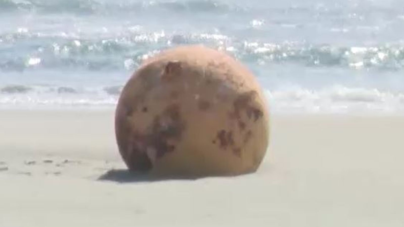 Mysterious metal ball washes up on beach in Japan Fl