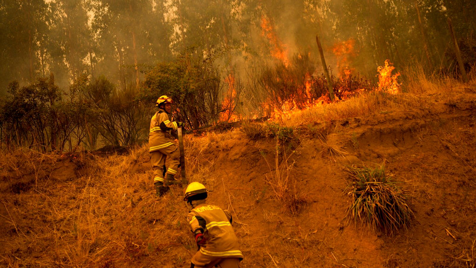 Chili. Au moins 22 morts et état de catastrophe déclaré après des centaines d’incendies de forêt |  Nouvelles du monde