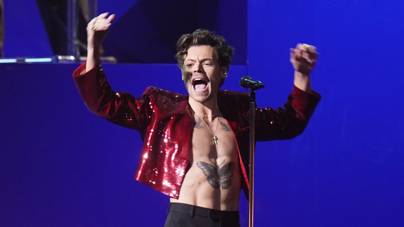 Harry Styles' home village searching for experts to run tours for fans