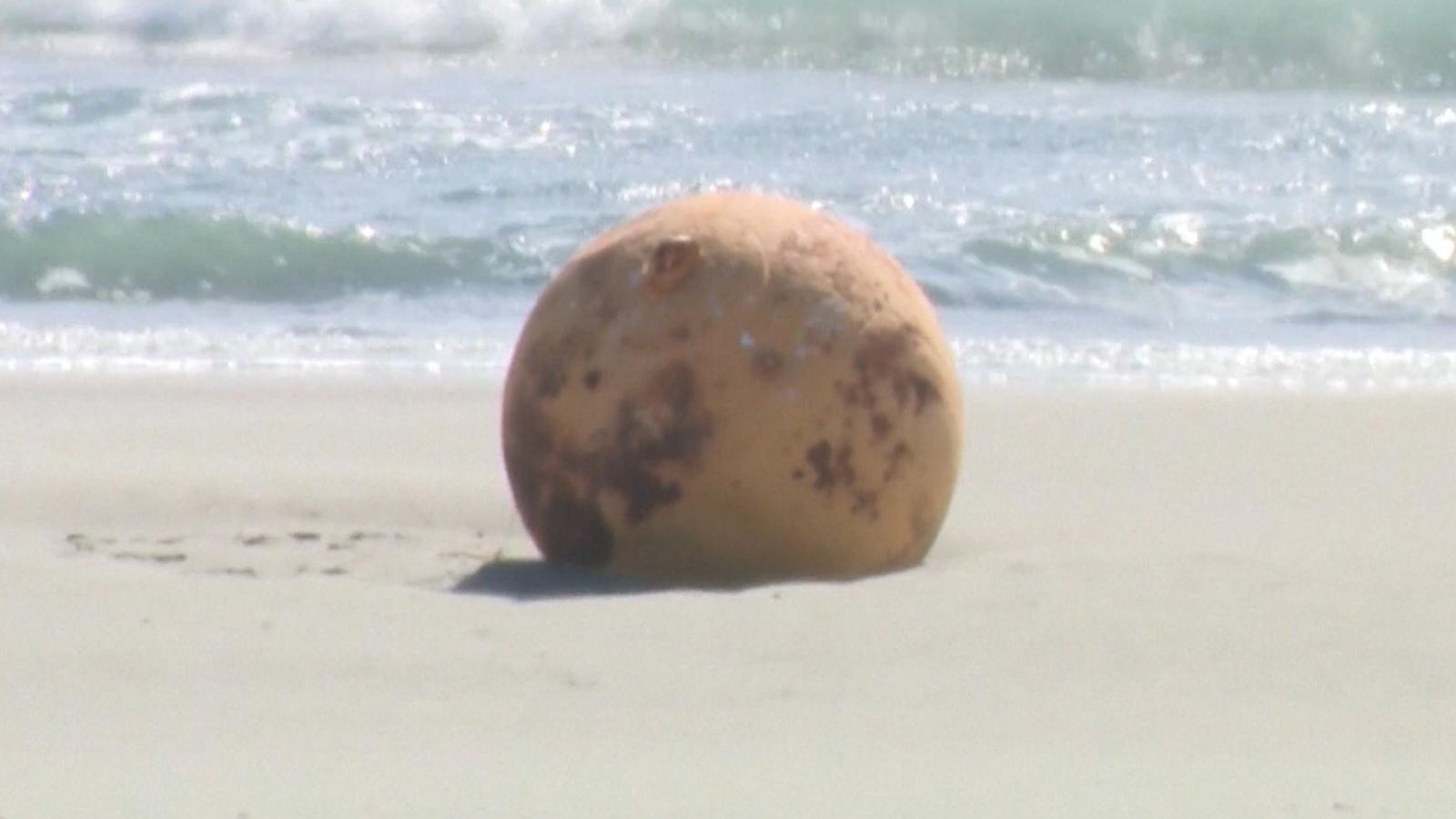 Mysterious sphere appears on Japanese beach and is investigated by