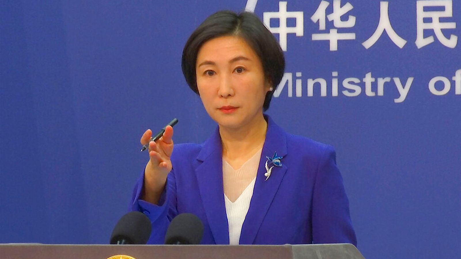 China accuses US of 'abusing state power' following TikTok bans on government devices