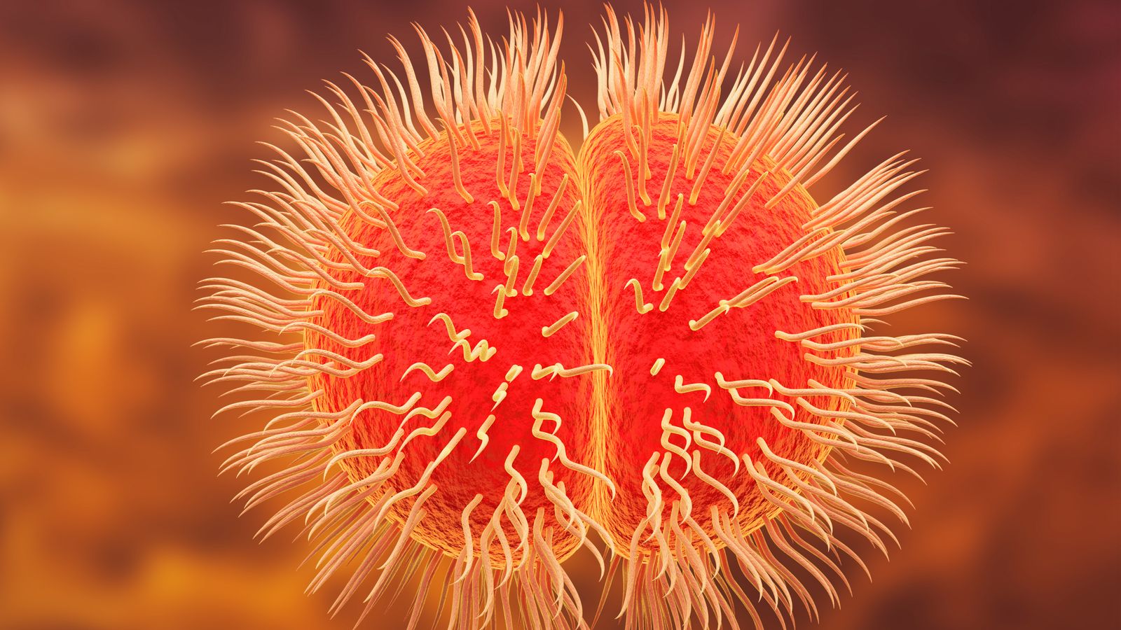 Meningitis cases more than doubled in a year in England, charity warns