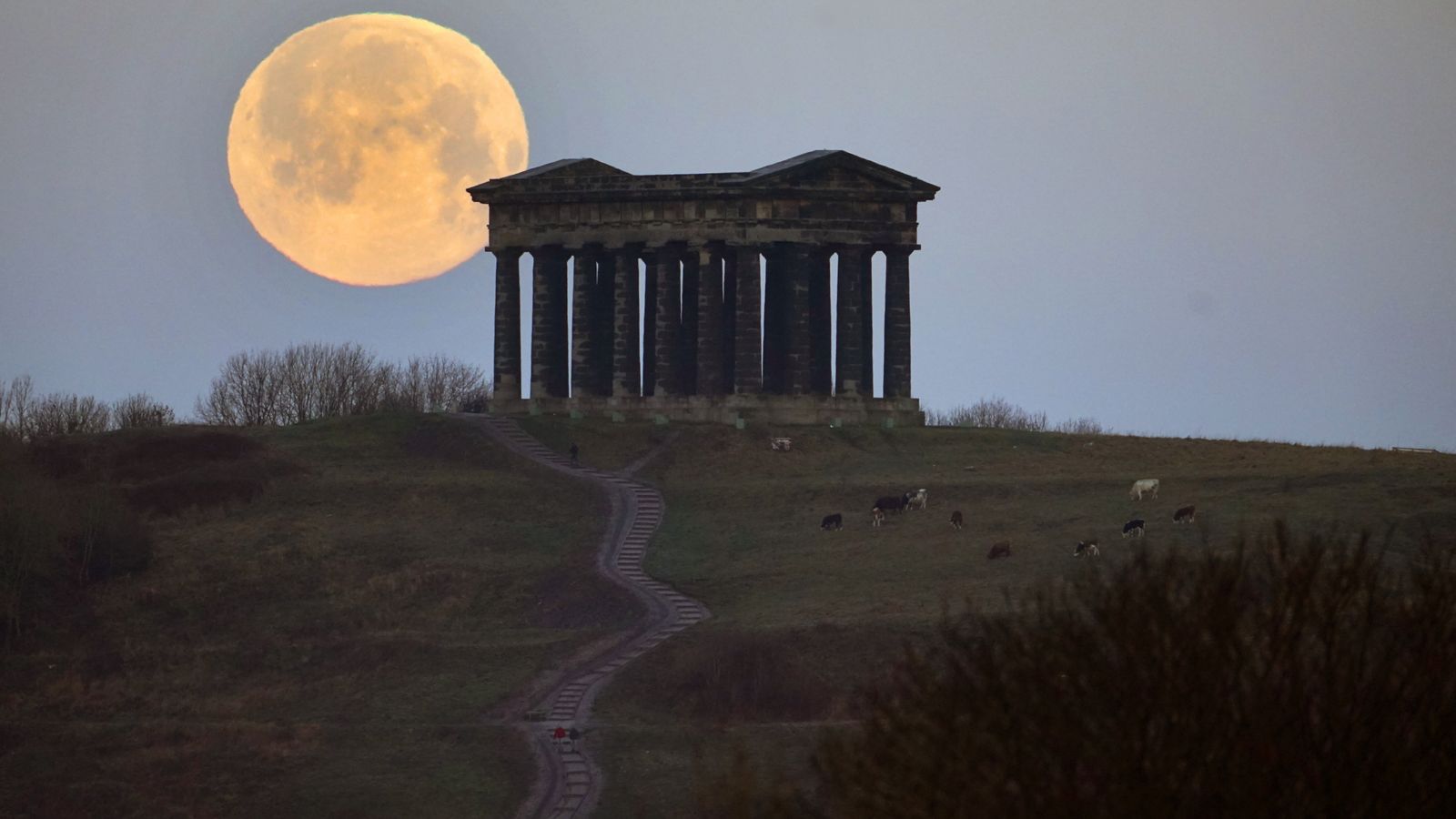 Cold weather alert starts today as 'snow moon' set to delight UK sky-gazers