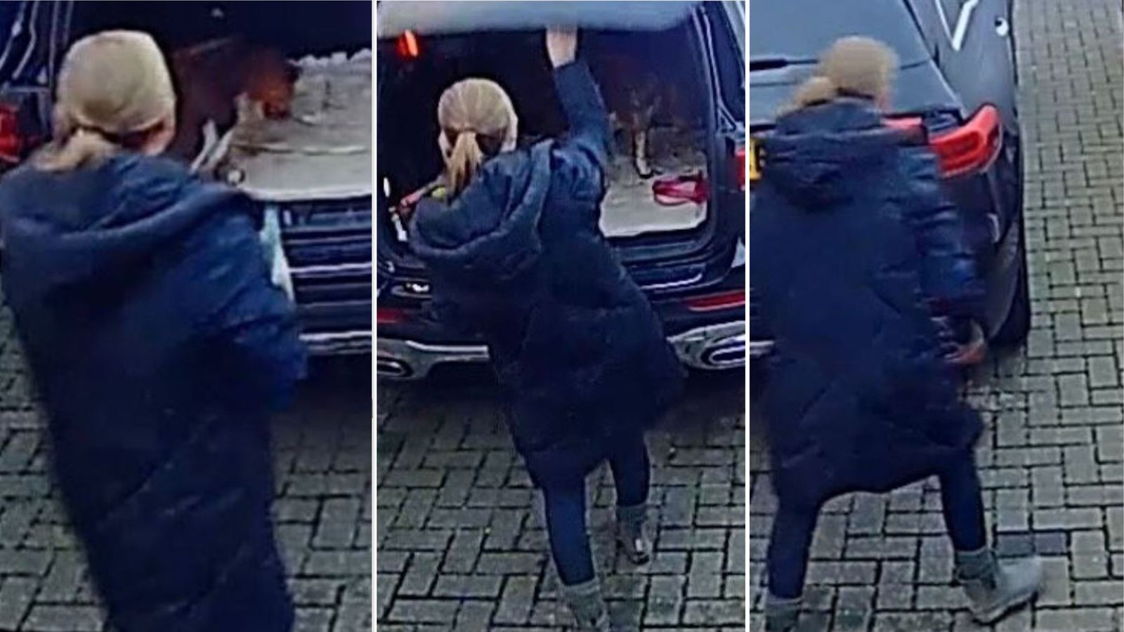 Nicola Bulley: First images released of dog walker on day she disappeared