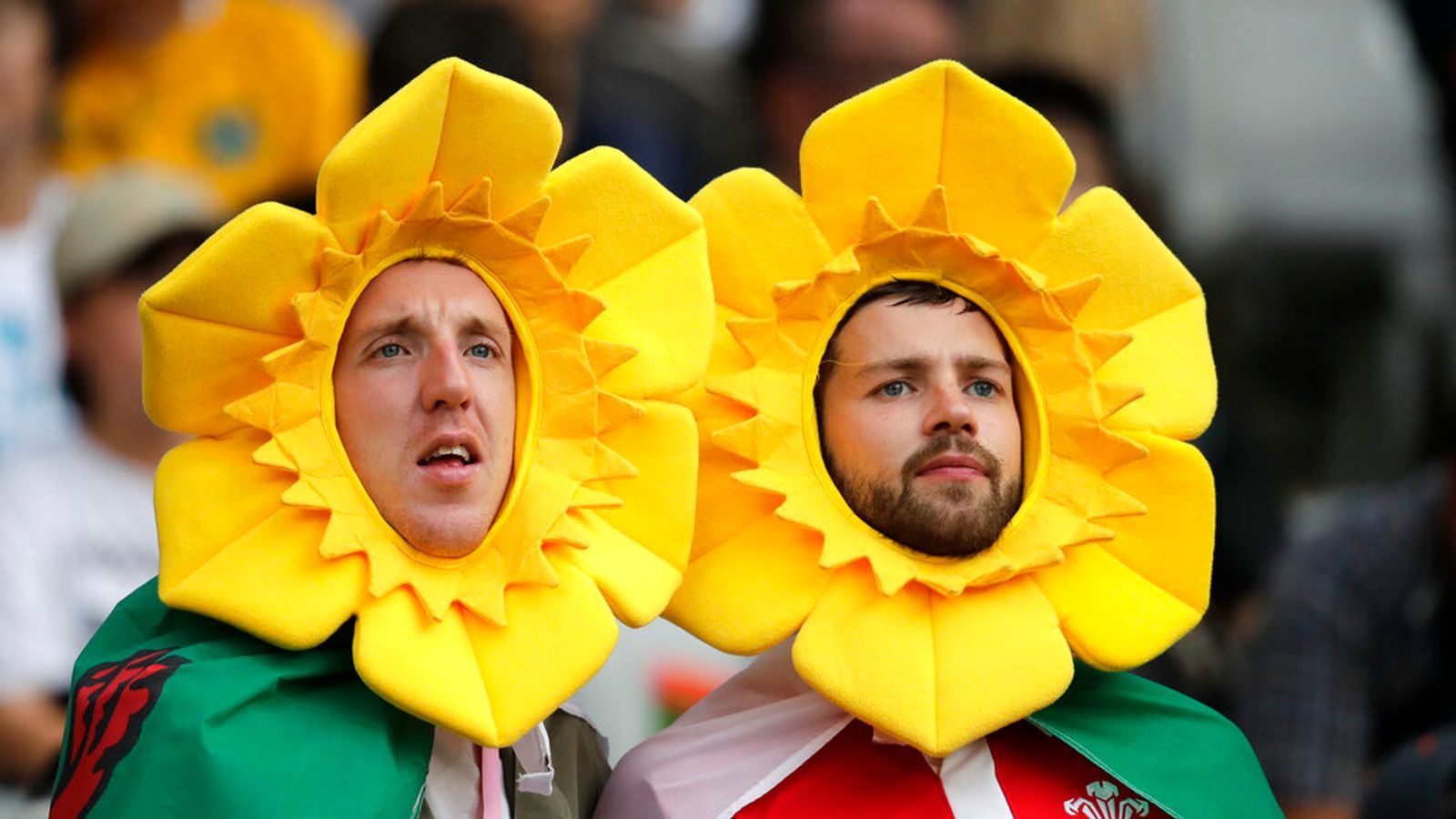 st patricks day northern ireland st davids day wales