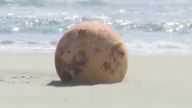 A mysterious large metal ball has washed up on a beach in Japan. Pic: TBS