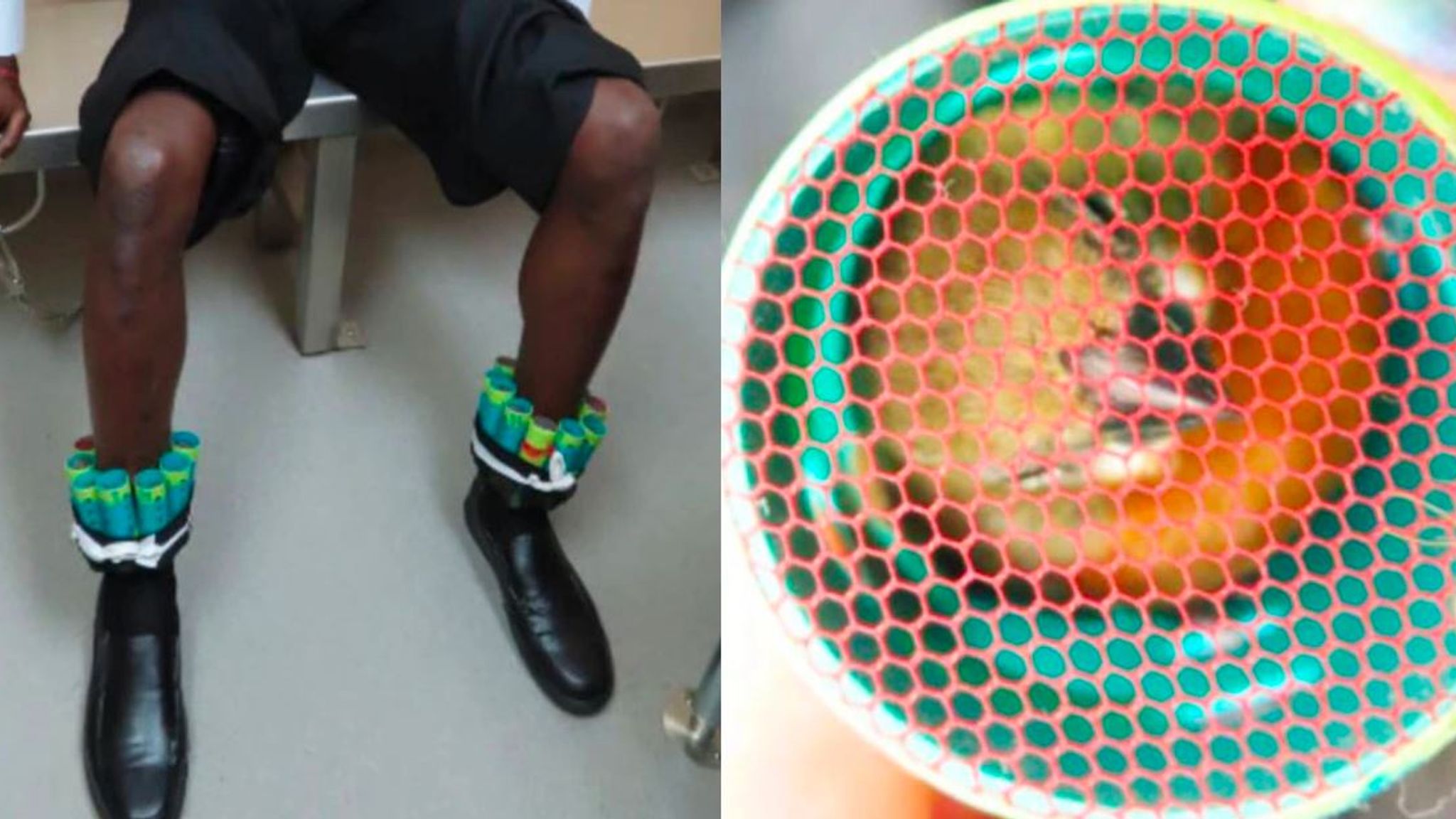 Man caught trying to smuggle finches for birdsong competitions jailed