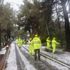 Mallorca hit by heavy snow as Storm Juliette brings freezing temperatures to Spain