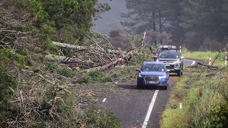 Cars dodge fallen trees on a road at Cook&#39;s Beach, east of Auckland, New Zealand, Tuesday, Feb. 14, 2023. The New Zealand government declared a state of emergency across the country&#39;s North Island, which has been battered by Cyclone Gabrielle. 
Pic:Zealand Herald /AP