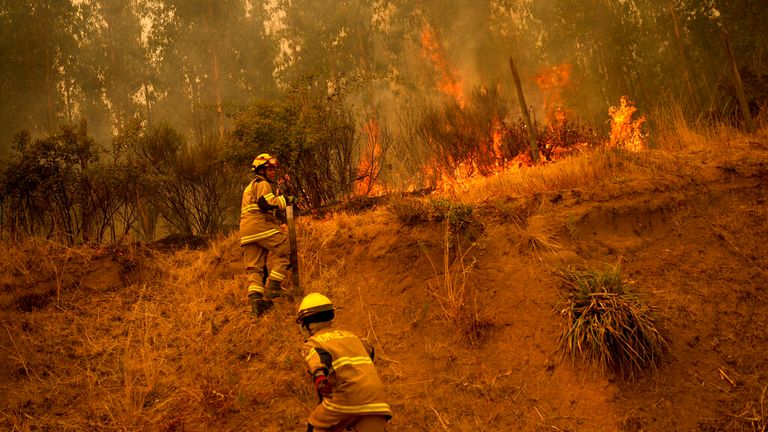 Firefighters battling to extinguish flames in Nacimiento, Biobio Pic: AP 