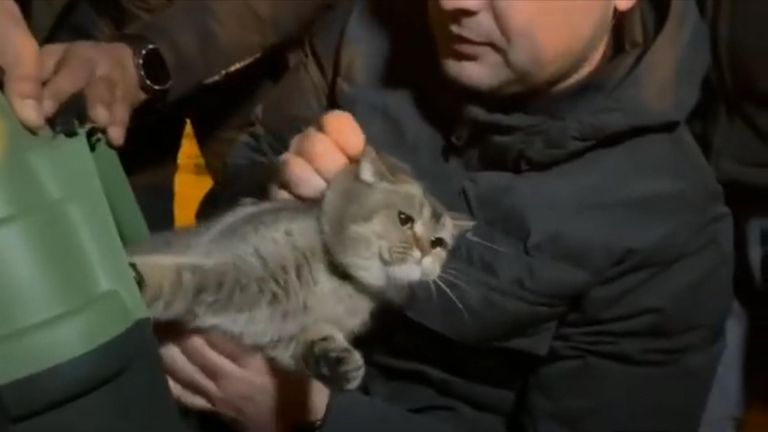 Rescued cat reunites with owners