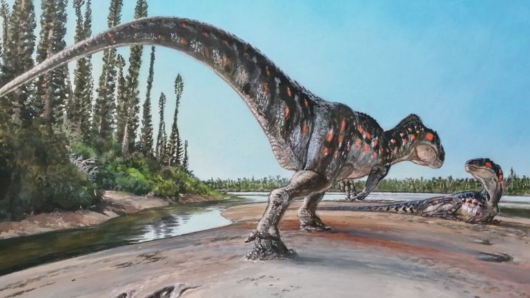 Experts believe the footprints were left by a Megalosaurus-like dinosaur. Pic: James McKay