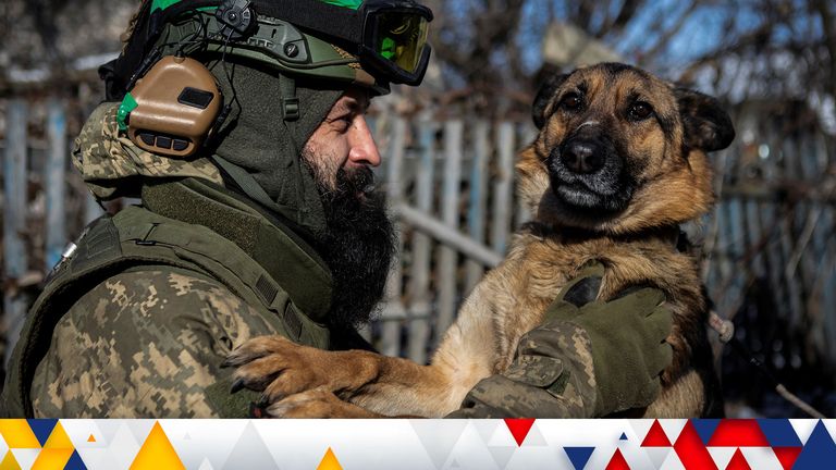 A Ukrainian service member pets a dog near a frontline, amid Russia&#39;s attack on Ukraine in Donetsk  