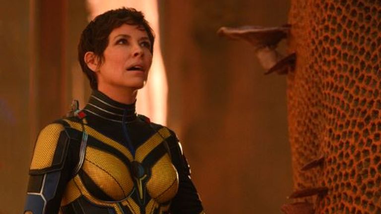 Evangelina Lilly in the Quantum Realm