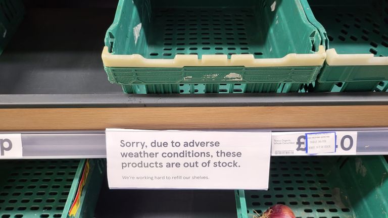 Empty shelves in an English supermarket