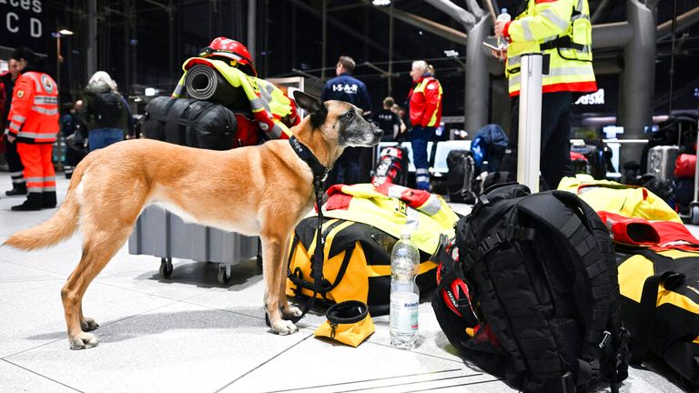 Rescue dog Hope waits for departure from Cologne Bonne Airport after Germany agreed to send aid. Pic: AP