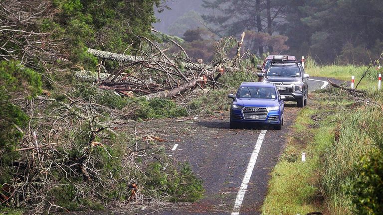 Cars dodge fallen trees on a road at Cook&#39;s Beach, east of Auckland. Pic: AP