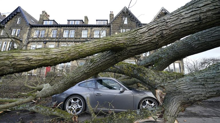 A Porsche 911 car is damaged by a fallen tree in Harrogate, North Yorkshire, as a result of storm Otto. The storm, the first to be named this winter, has been labelled Otto by the Danish Meteorological Institute (DMI) and is expected to bring disruption to travellers across northern areas of the UK. Picture date: Friday February 17, 2023.