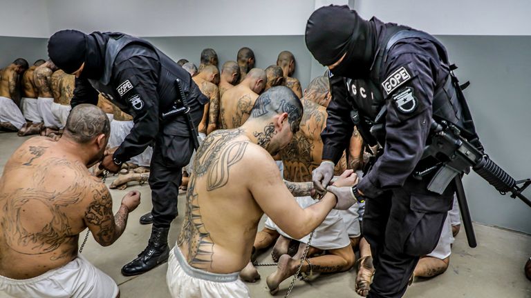 Prison agents guard gang members as they are processed at their arrival after 2000 gang members were transferred to the Terrorism Confinement Center, according to El Salvador&#39;s President Nayib Bukele, in Tecoluca, El Salvador, in this handout distributed to Reuters on February 24, 2023. Secretaria de Prensa de la Presidencia/Handout via REUTERS ATTENTION EDITORS - THIS IMAGE HAS BEEN SUPPLIED BY A THIRD PARTY. NO RESALES. NO ARCHIVES
r
