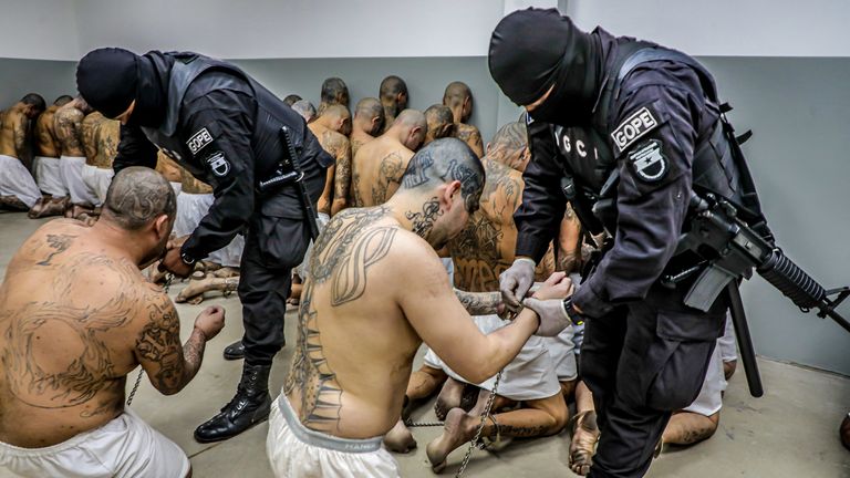 Prison agents guard gang members as they are processed at their arrival after 2000 gang members were transferred to the Terrorism Confinement Center, according to El Salvador&#39;s President Nayib Bukele, in Tecoluca, El Salvador, in this handout distributed to Reuters on February 24, 2023. Secretaria de Prensa de la Presidencia/Handout via REUTERS ATTENTION EDITORS - THIS IMAGE HAS BEEN SUPPLIED BY A THIRD PARTY. NO RESALES. NO ARCHIVES
r