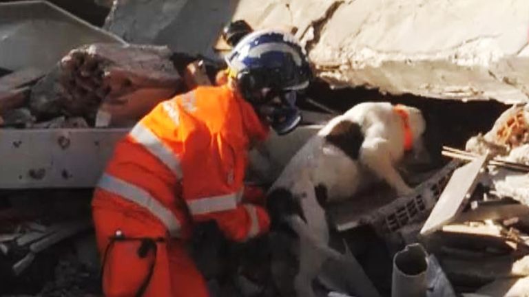 British rescue teams and dogs in Hatay,Turkey