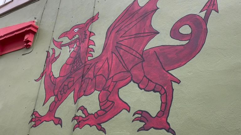 Sky News travelled around Swansea asking Welsh speakers to share some useful words for St David&#39;s day! 