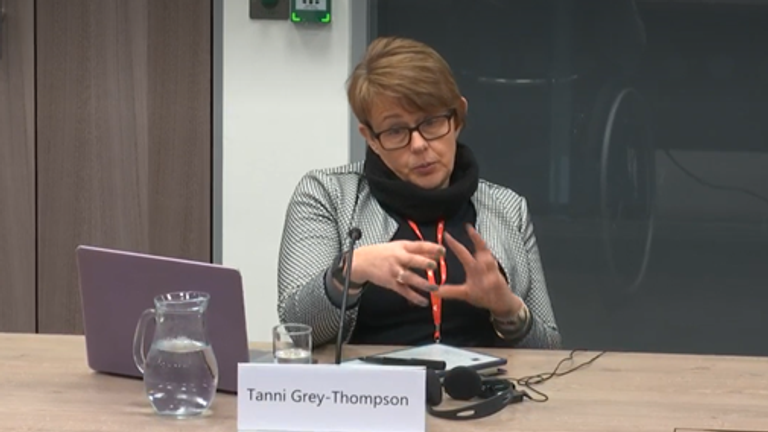 Baroness Tanni Grey-Thompson, chair of Sport Wales, at a Senedd committee hearing on allegations of sexism, racism and homophobia within the Welsh Rugby Union.  Date: 15/02/23. Pic: Senedd.TV