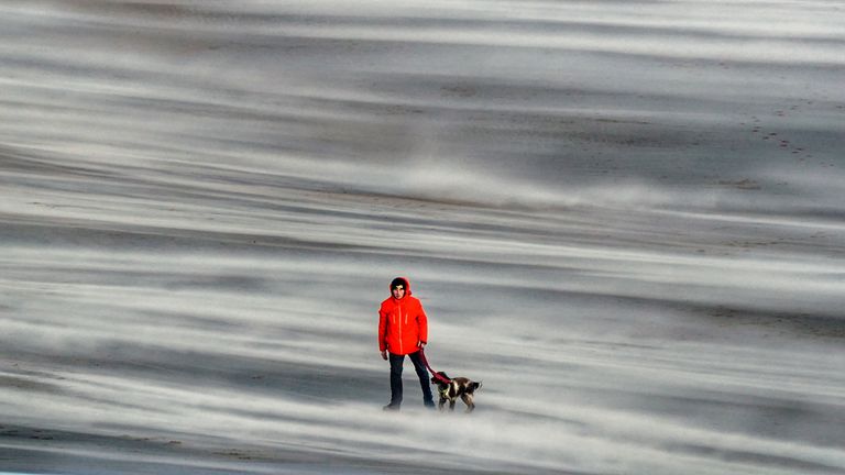 A person walking a dog on Tynemouth beach on the North east coast, as Storm Otto hits parts of Scotland and north-east England as it moves across the UK on Friday.