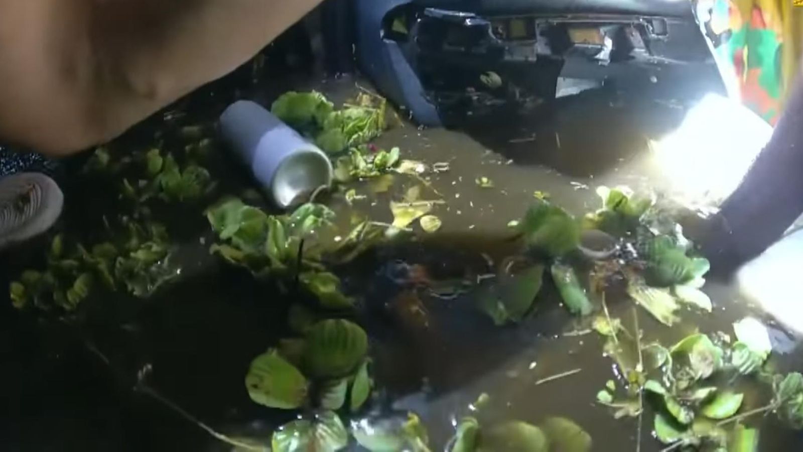 Florida: Police race to rescue man trapped in submerged car after it ...