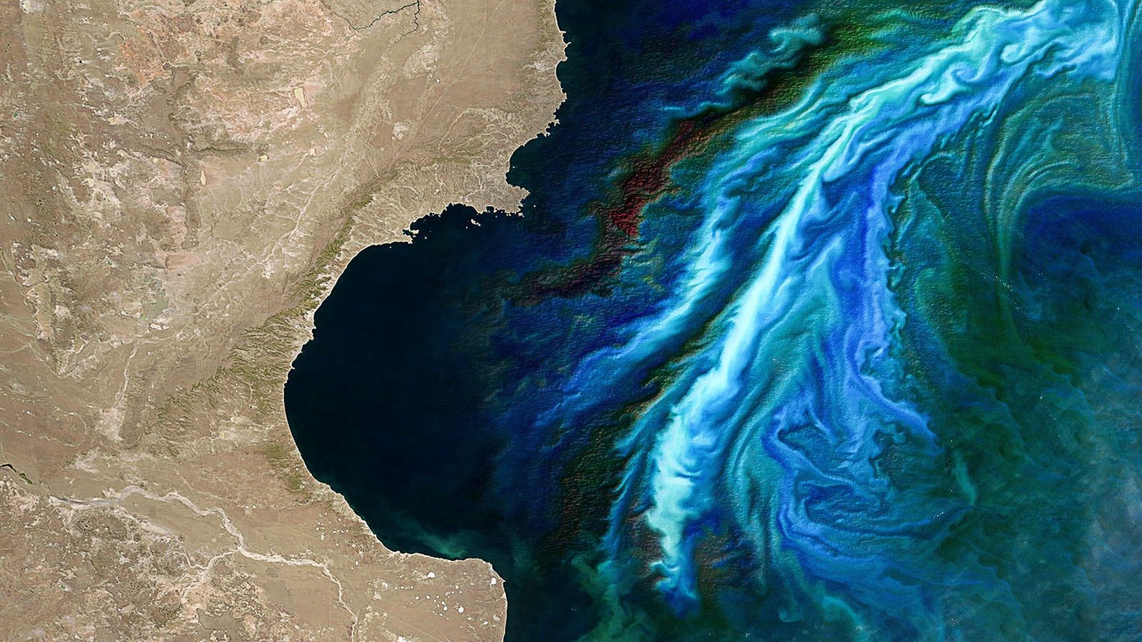 Striking satellite images reveal beauty and danger of algal blooms